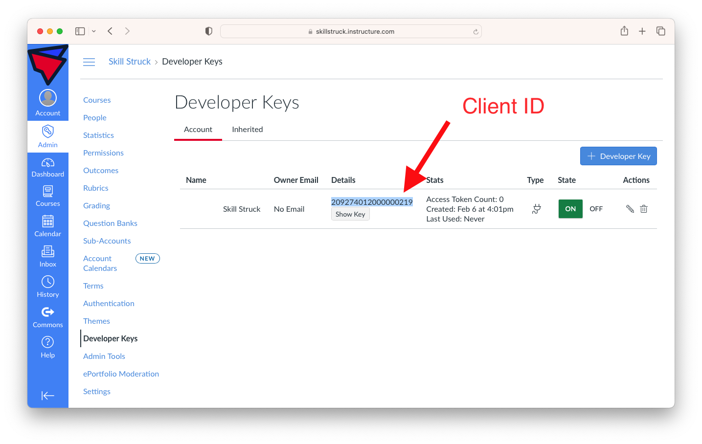 How to Set up the Canvas Integration With Skill Struck (For IT Team)